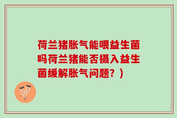 荷兰猪胀气能喂益生菌吗荷兰猪能否摄入益生菌缓解胀气问题？)