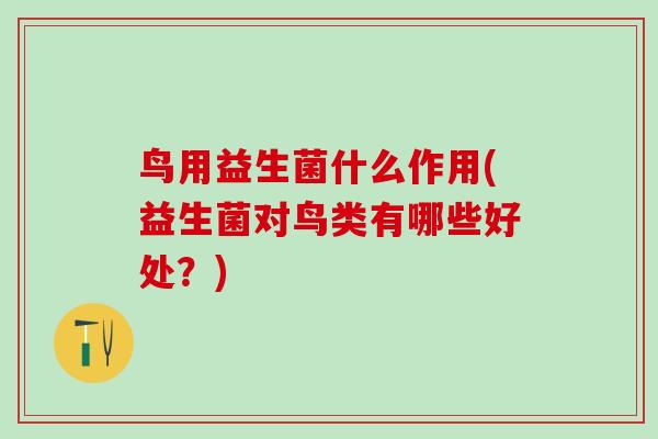 鸟用益生菌什么作用(益生菌对鸟类有哪些好处？)