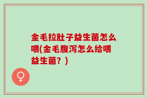 金毛拉肚子益生菌怎么喂(金毛腹泻怎么给喂益生菌？)