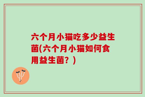 六个月小猫吃多少益生菌(六个月小猫如何食用益生菌？)