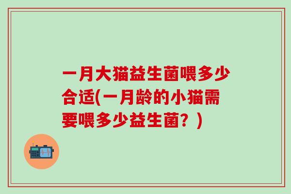 一月大猫益生菌喂多少合适(一月龄的小猫需要喂多少益生菌？)