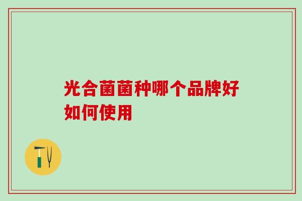 光合菌菌种哪个品牌好如何使用