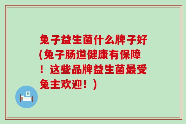 兔子益生菌什么牌子好(兔子肠道健康有保障！这些品牌益生菌最受兔主欢迎！)