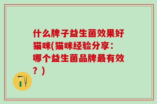 什么牌子益生菌效果好猫咪(猫咪经验分享：哪个益生菌品牌最有效？)