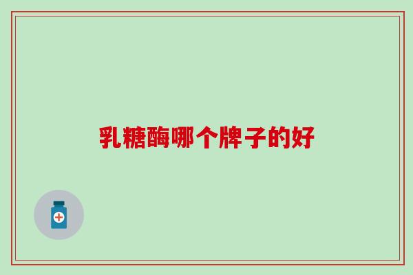 乳糖酶哪个牌子的好