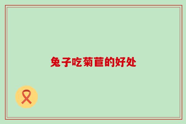 兔子吃菊苣的好处 兔子吃菊苣的好处