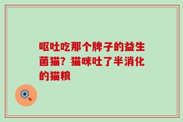 呕吐吃那个牌子的益生菌猫？猫咪吐了半消化的猫粮
