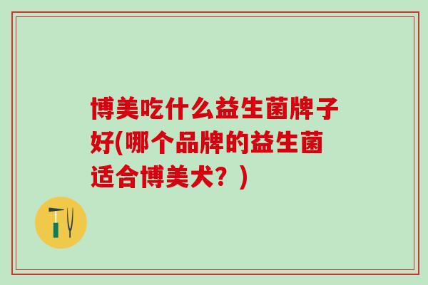 博美吃什么益生菌牌子好(哪个品牌的益生菌适合博美犬？)