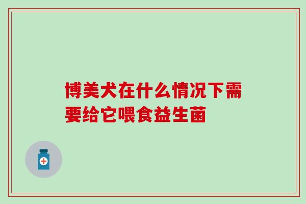 博美犬在什么情况下需要给它喂食益生菌