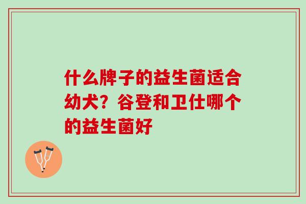 什么牌子的益生菌适合幼犬？谷登和卫仕哪个的益生菌好
