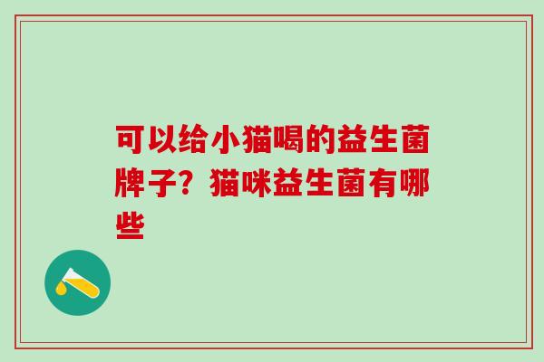 可以给小猫喝的益生菌牌子？猫咪益生菌有哪些