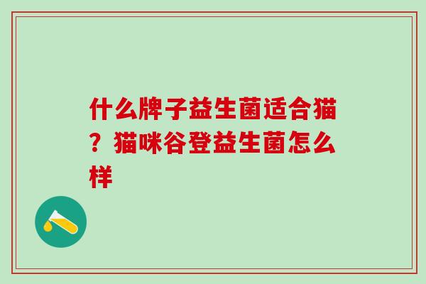什么牌子益生菌适合猫？猫咪谷登益生菌怎么样