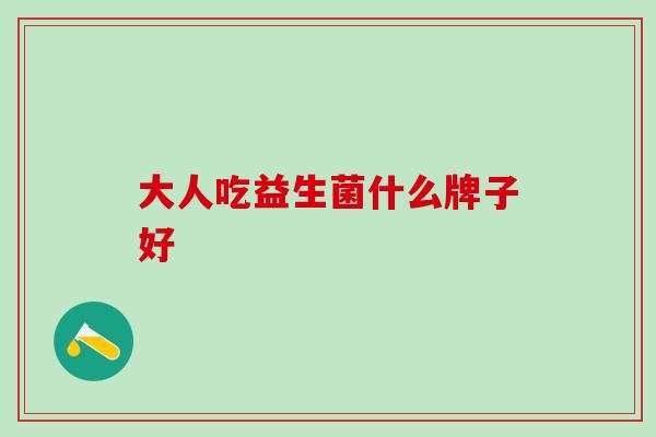 大人吃益生菌什么牌子好