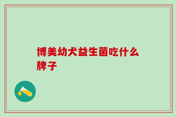 博美幼犬益生菌吃什么牌子