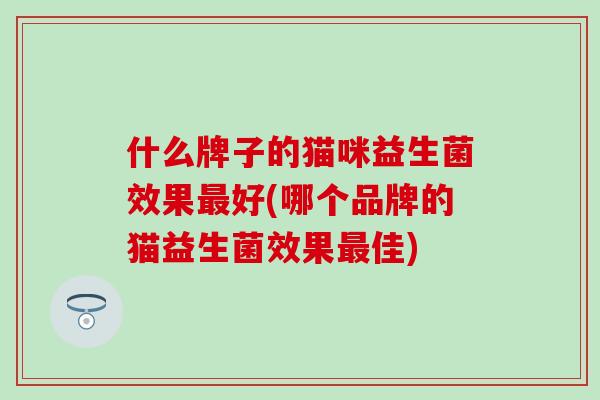什么牌子的猫咪益生菌效果最好(哪个品牌的猫益生菌效果最佳)