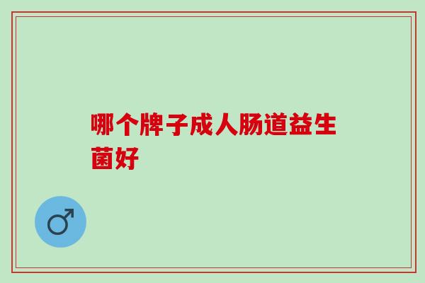 哪个牌子成人肠道益生菌好