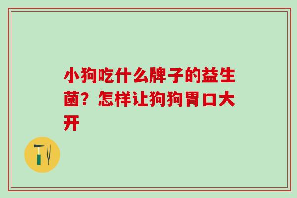 小狗吃什么牌子的益生菌?怎样让狗狗胃口大开 小狗吃什么牌子的益生菌?怎样让狗狗胃口大开