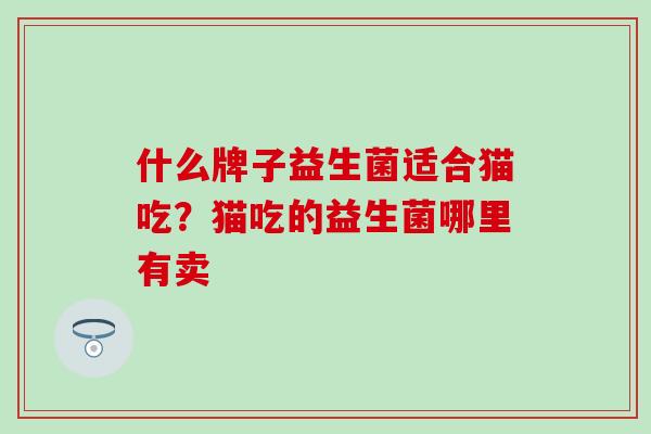 什么牌子益生菌适合猫吃？猫吃的益生菌哪里有卖