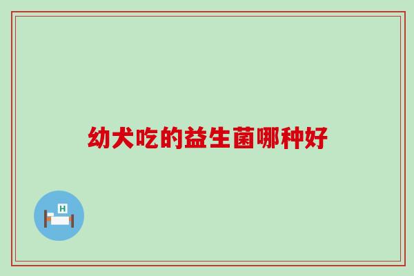 幼犬吃的益生菌哪种好
