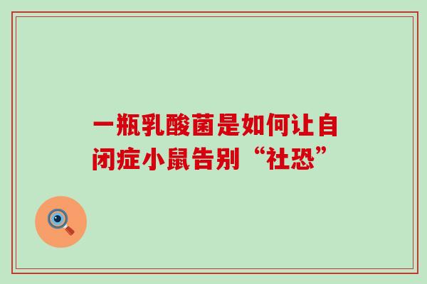 一瓶乳酸菌是如何让自闭症小鼠告别“社恐”