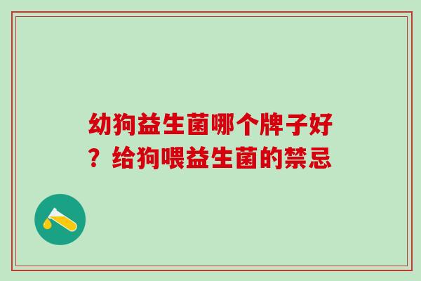 幼狗益生菌哪个牌子好？给狗喂益生菌的禁忌
