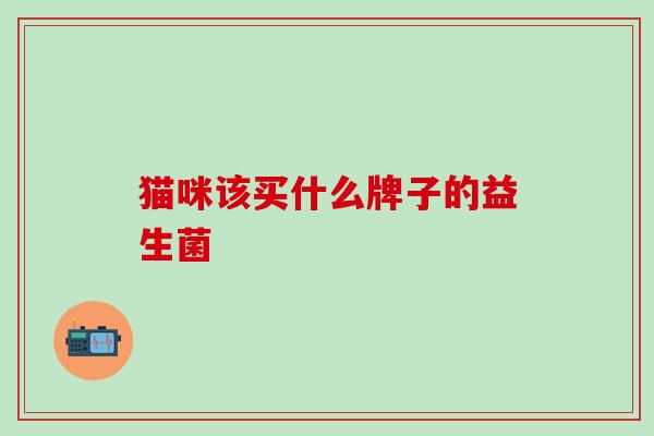 猫咪该买什么牌子的益生菌