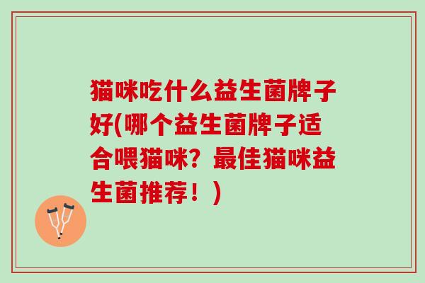 猫咪吃什么益生菌牌子好(哪个益生菌牌子适合喂猫咪？最佳猫咪益生菌推荐！)