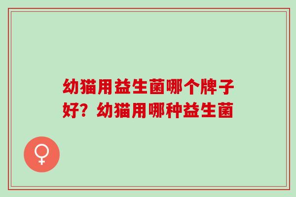 幼猫用益生菌哪个牌子好？幼猫用哪种益生菌