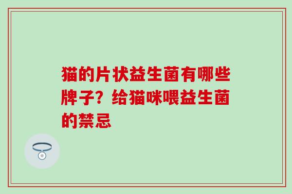 猫的片状益生菌有哪些牌子？给猫咪喂益生菌的禁忌