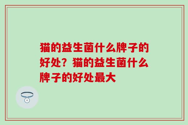 猫的益生菌什么牌子的好处？猫的益生菌什么牌子的好处最大