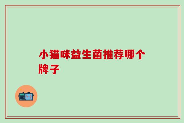 小猫咪益生菌推荐哪个牌子