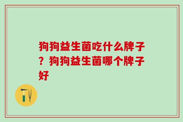 狗狗益生菌吃什么牌子？狗狗益生菌哪个牌子好