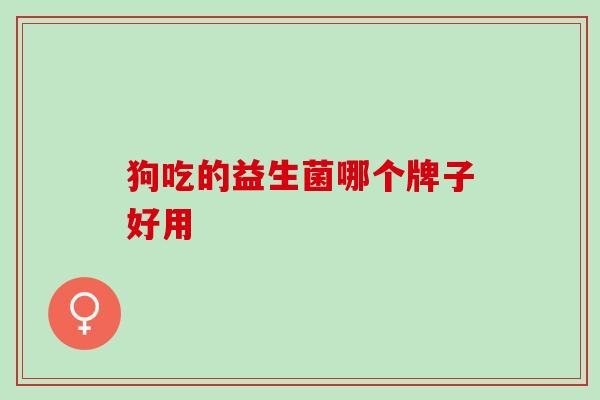 狗吃的益生菌哪个牌子好用