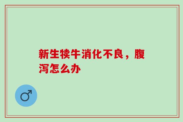 新生犊牛消化不良，腹泻怎么办