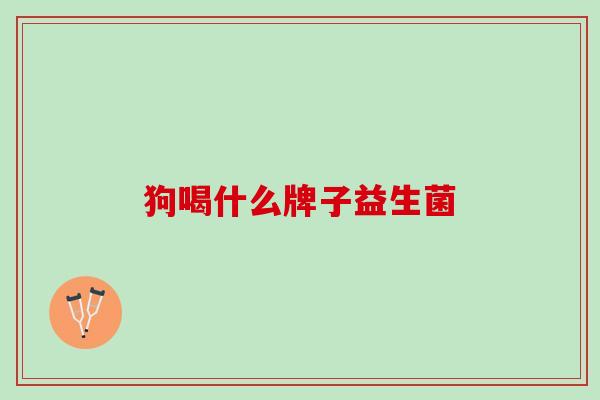 狗喝什么牌子益生菌