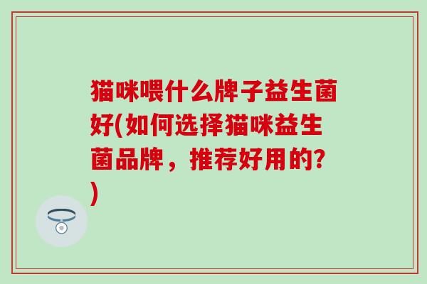 猫咪喂什么牌子益生菌好(如何选择猫咪益生菌品牌，推荐好用的？)