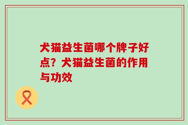 犬猫益生菌哪个牌子好点？犬猫益生菌的作用与功效