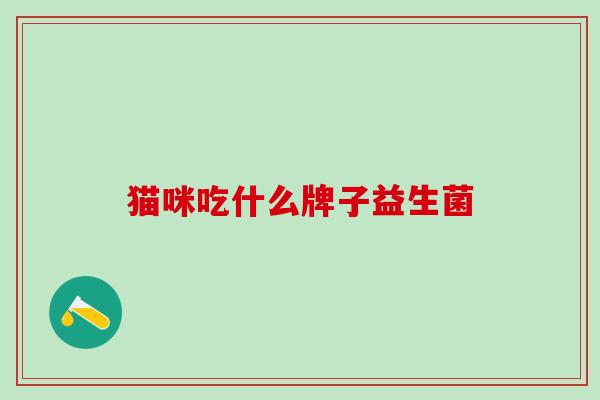 猫咪吃什么牌子益生菌