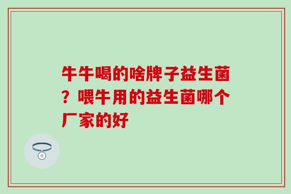 牛牛喝的啥牌子益生菌？喂牛用的益生菌哪个厂家的好