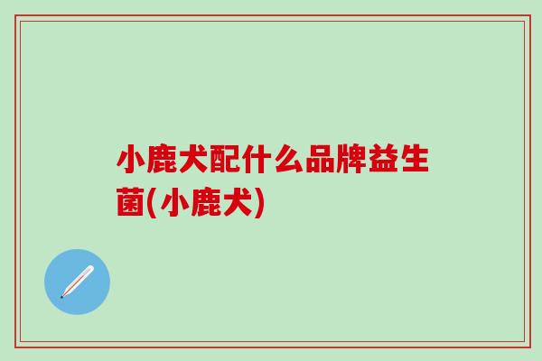 小鹿犬配什么品牌益生菌(小鹿犬) 小鹿犬配什么品牌益生菌(小鹿犬)