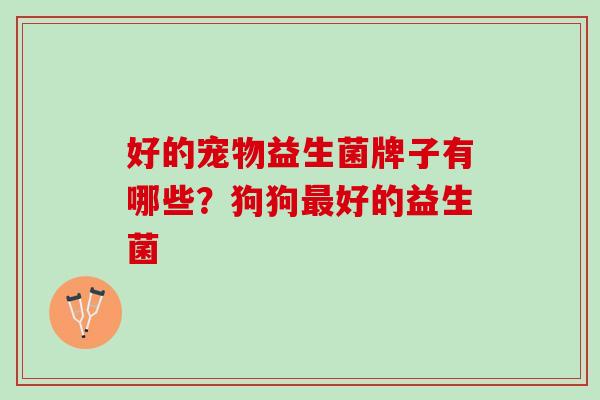 好的宠物益生菌牌子有哪些？狗狗最好的益生菌