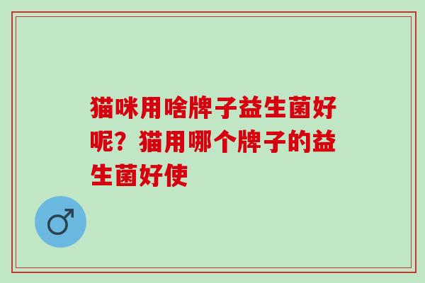 猫咪用啥牌子益生菌好呢？猫用哪个牌子的益生菌好使