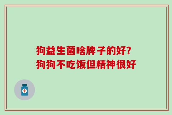 狗益生菌啥牌子的好？狗狗不吃饭但精神很好