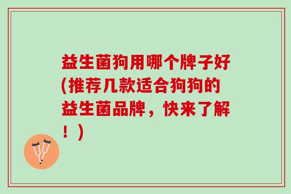 益生菌狗用哪个牌子好(推荐几款适合狗狗的益生菌品牌，快来了解！)