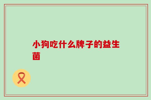 小狗吃什么牌子的益生菌
