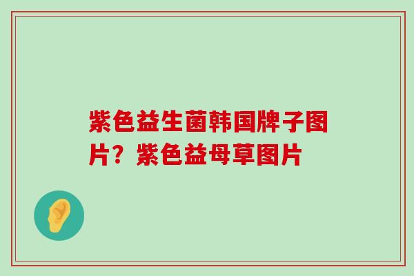 紫色益生菌韩国牌子图片？紫色益母草图片
