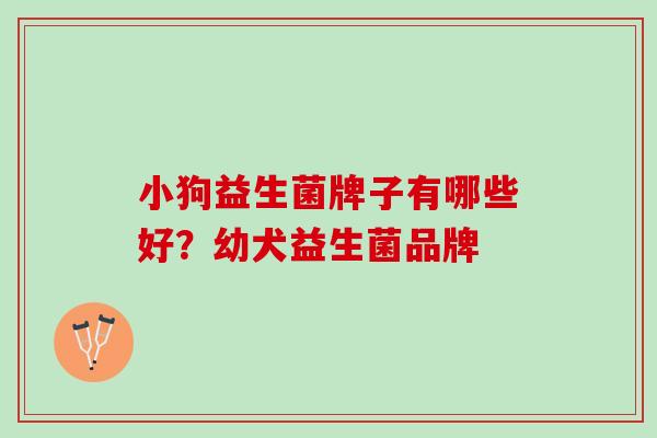 小狗益生菌牌子有哪些好？幼犬益生菌品牌