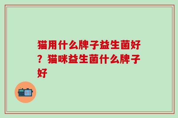 猫用什么牌子益生菌好？猫咪益生菌什么牌子好