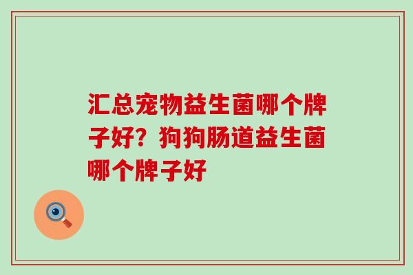 汇总宠物益生菌哪个牌子好?狗狗肠道益生菌哪个牌子好 汇总宠物益生菌哪个牌子好?狗狗肠道益生菌哪个牌子好
