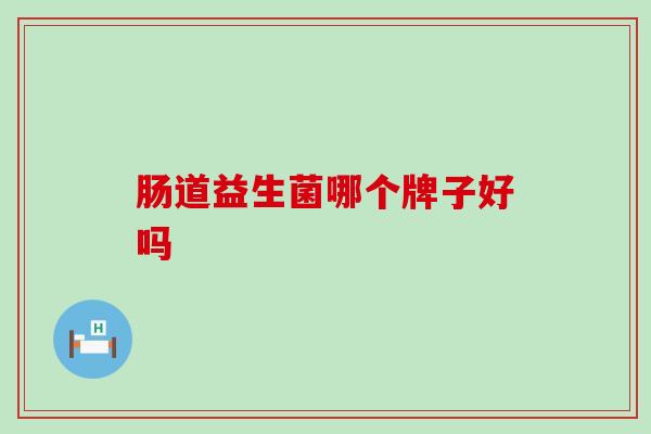 肠道益生菌哪个牌子好吗